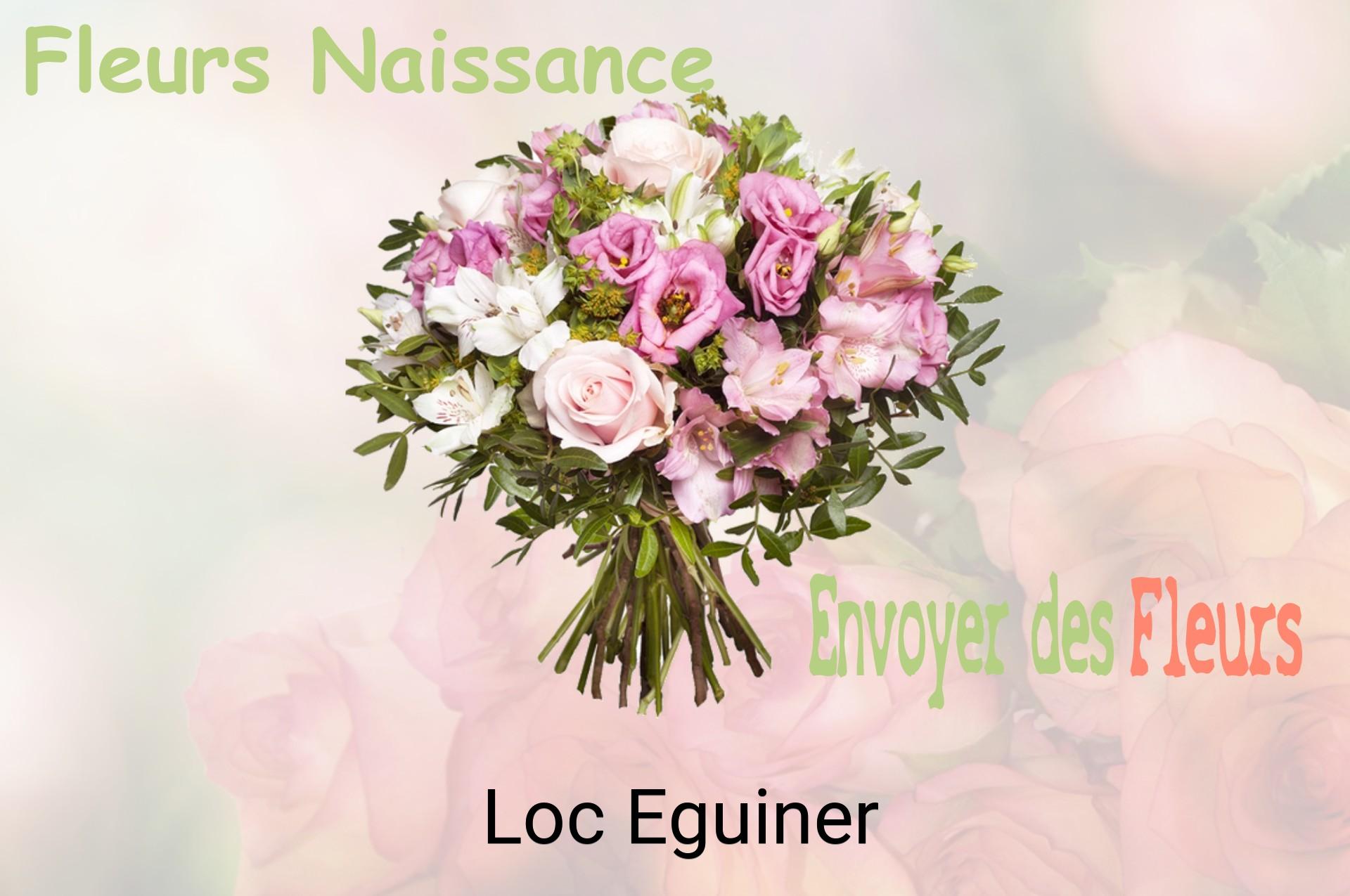 Bouquet de fleurs de naissance livré à Loc-Eguiner